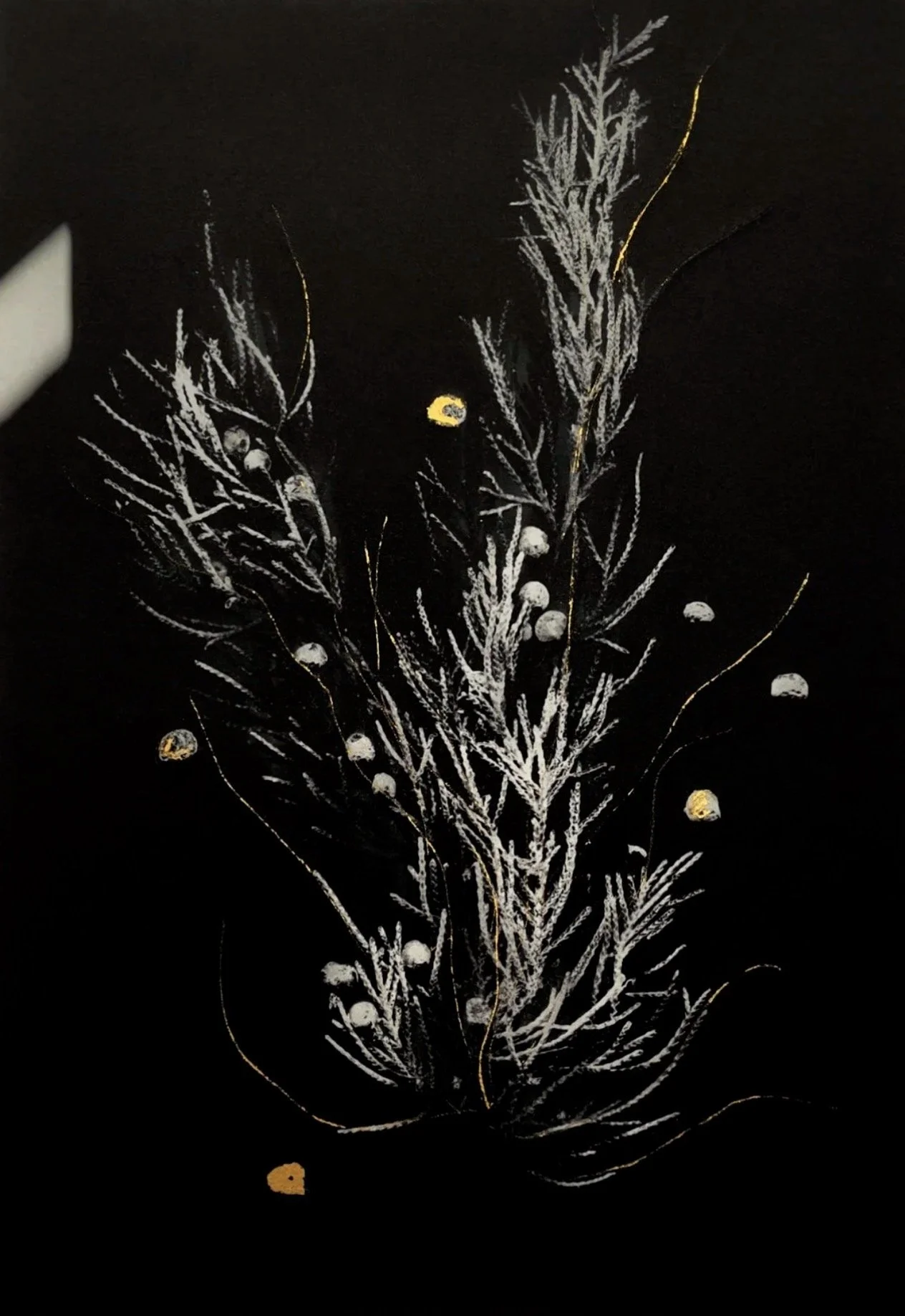   Ancient Greek Knowledge   Archival pigment print with 24k gold on kozo paper  13 × 10 in., sheet  Ed. of 7 + 1AP  Series:  Seeds of Strength &amp; Resilience     Click to Inquire    