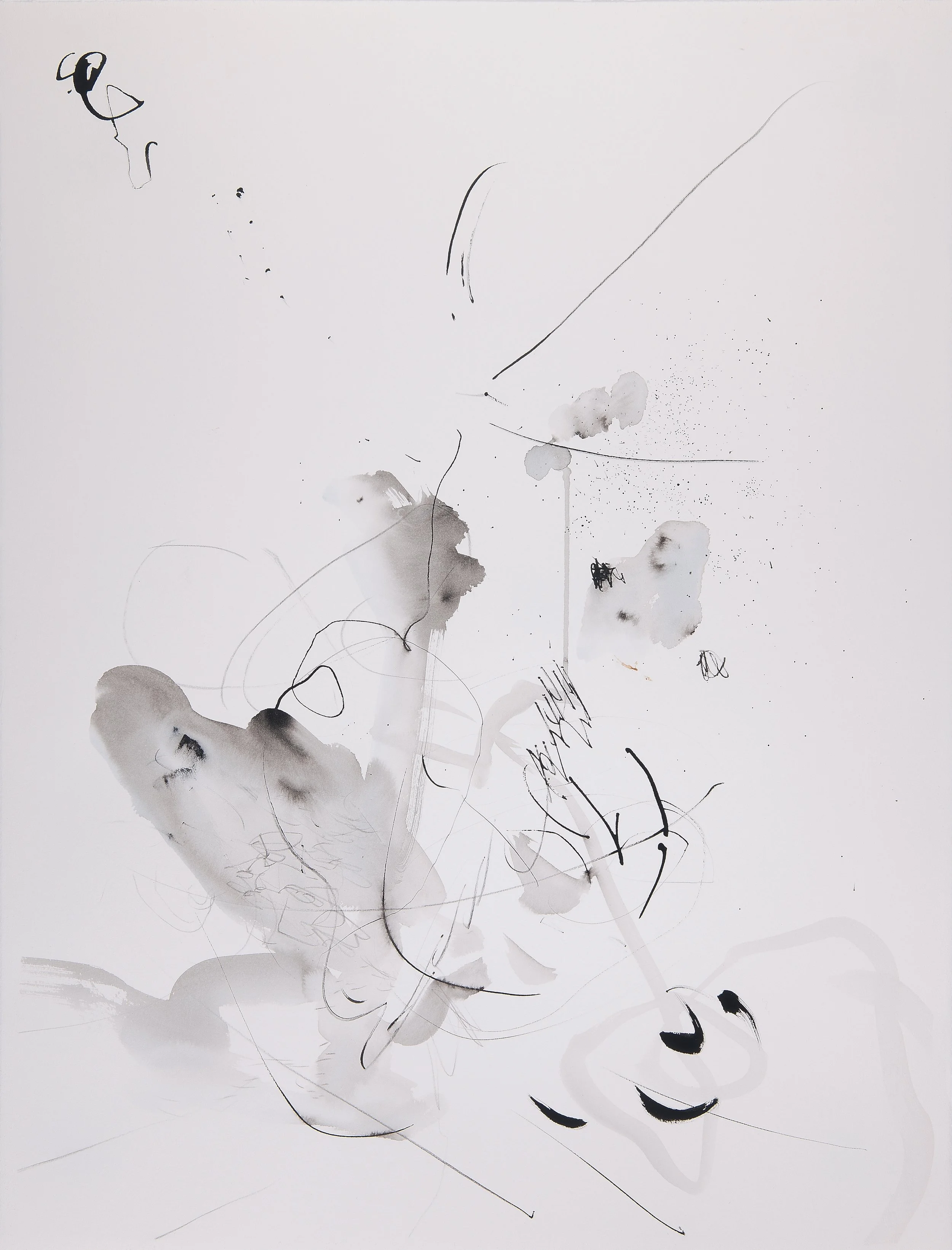   Wind Memory #3   Ink on cold press paper  30 x 22 in.    Click to Inquire   