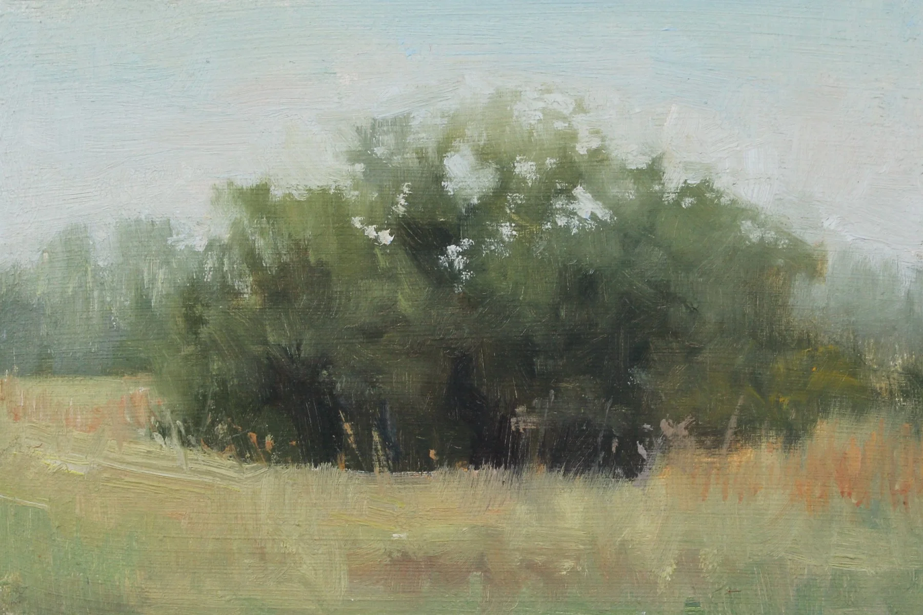   Mill Ridge Meadow Field Study   Oil on canvas panel  4 x 6 in.    Click to Inquire   