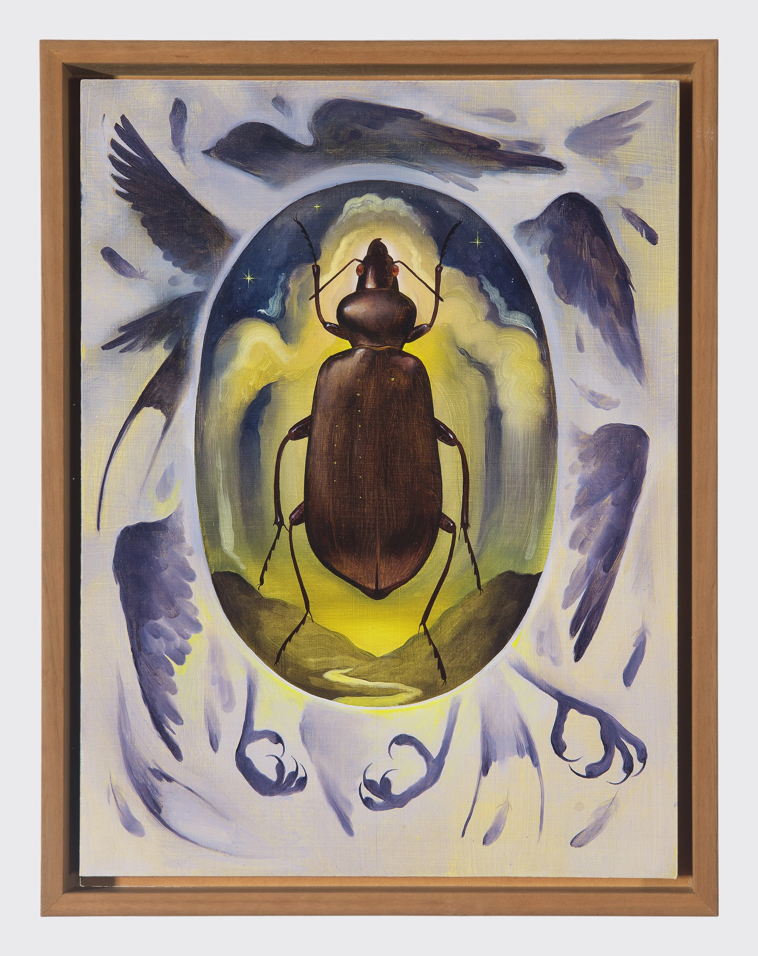   Float/Beetle   Oil on board  12 x 9 in., framed    Click to Inquire   
