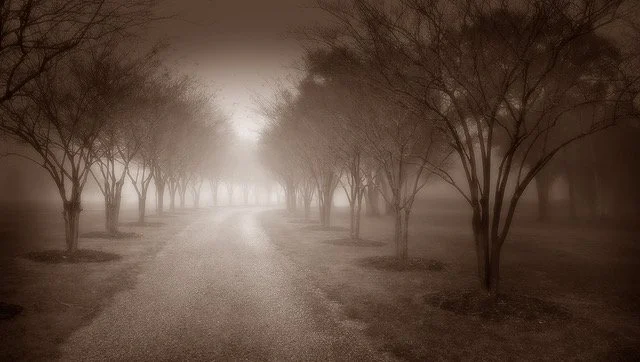   Highway 1082 IV   Ink on Hahnemühle Copperplate paper  10 × 17.75 in., image size; 17 × 26 in., paper size, Ed. of 10  14 × 25 in., image size; 22 × 30 in., paper size, Ed. of 10  Both sizes signed, titled, &amp; numbered au recto/on front    Click