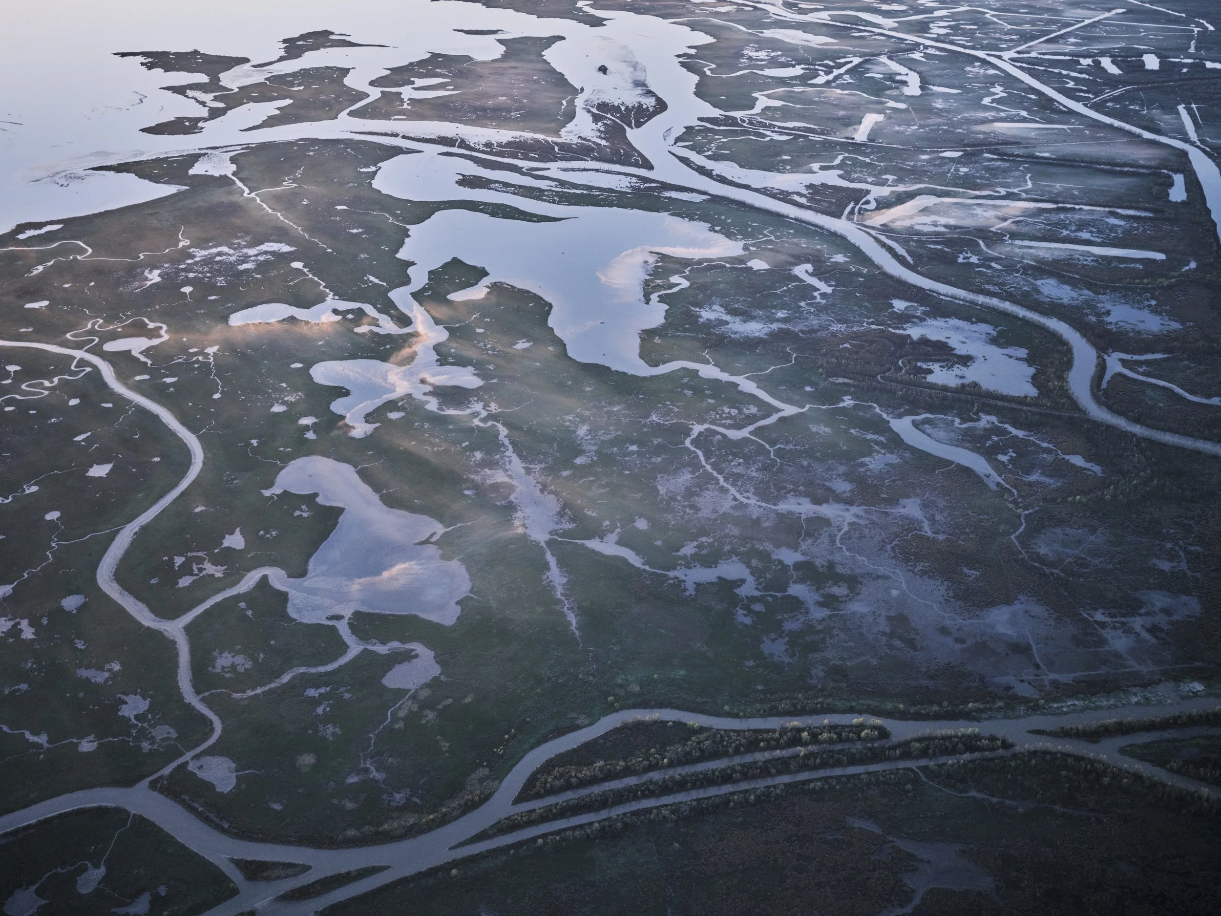   Mardi Gras Pass, 2025   Archival pigment print  22.5 x 30 in., image size; Ed. of 10  30 × 40 in., image size; Ed. of 10  42 x 56 in., image size; Ed. of 5  60 × 80 in., image size; Ed. of 5    Click to Inquire   