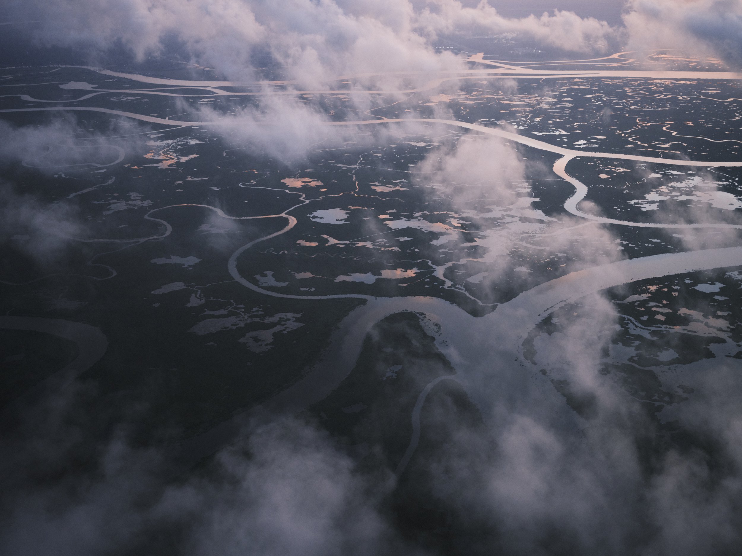   Pearl River Marsh, 2025   Archival pigment print  22.5 x 30 in., image size; Ed. of 10  30 × 40 in., image size; Ed. of 10  42 x 56 in., image size; Ed. of 5  60 × 80 in., image size; Ed. of 5    Click to Inquire   