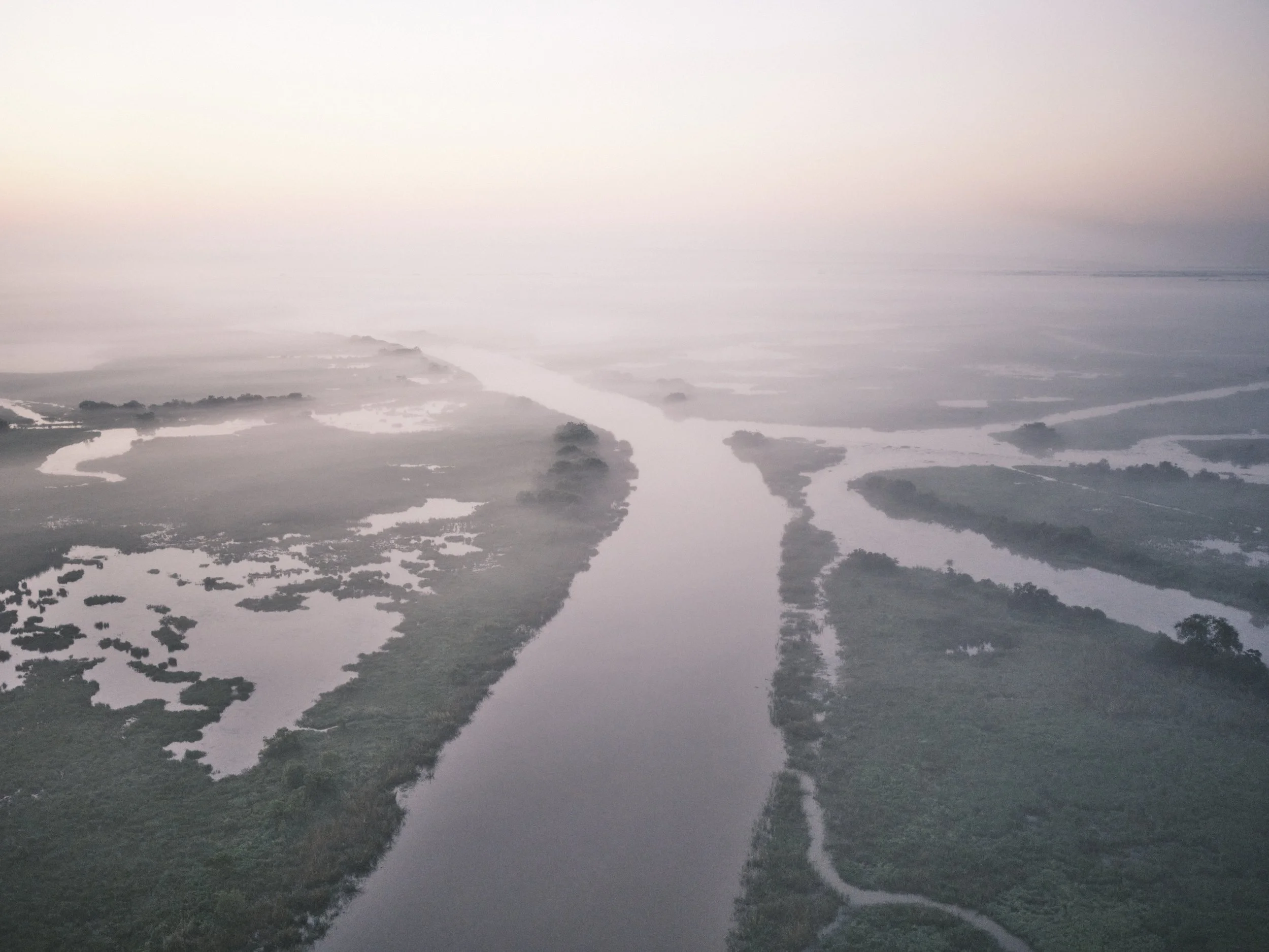   Plaquemines Fog, 2024   Archival pigment print  22.5 x 30 in., image size; Ed. of 10  30 × 40 in., image size; Ed. of 10  42 x 56 in., image size; Ed. of 5  60 × 80 in., image size; Ed. of 5    Click to Inquire   
