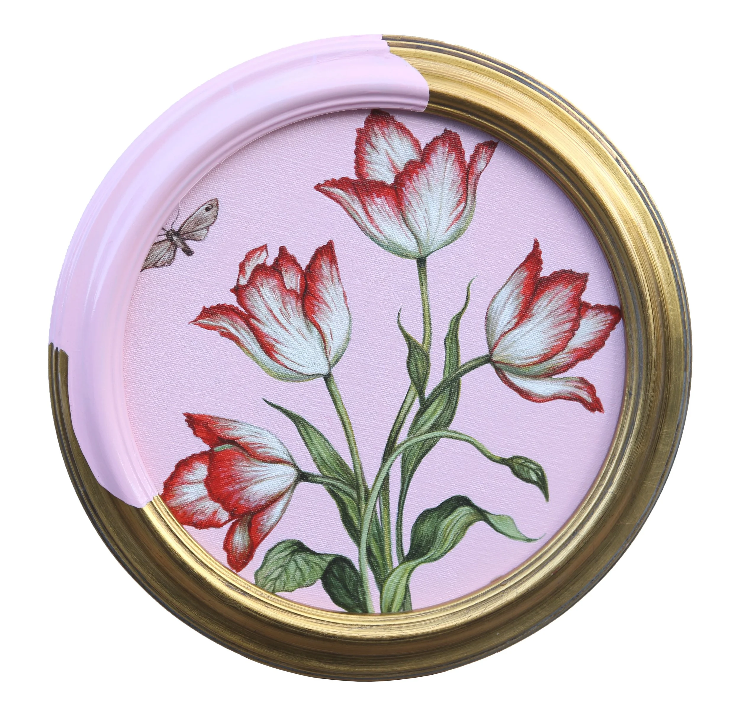 The Moth Around Tulips.jpg