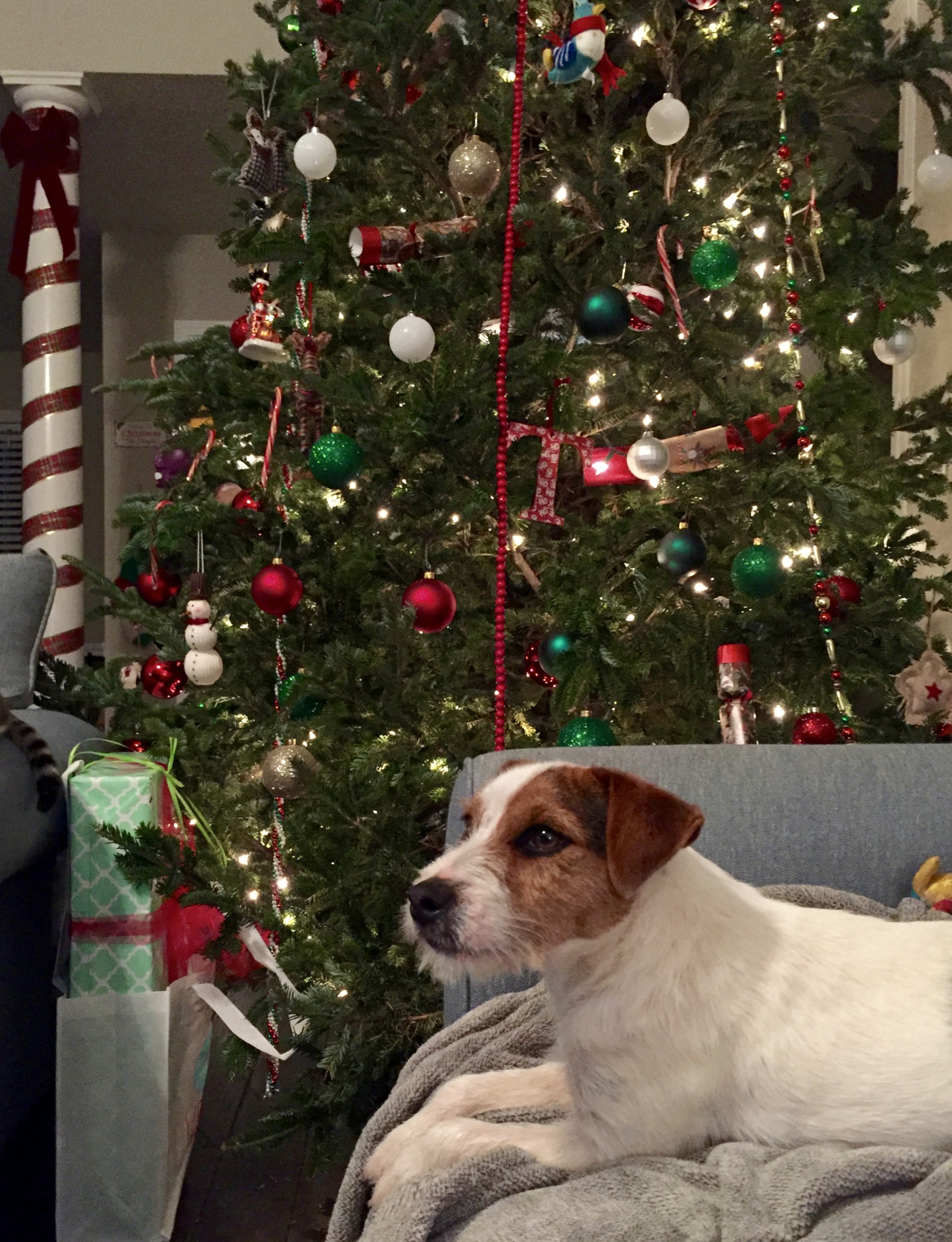 Xmas McGinnis