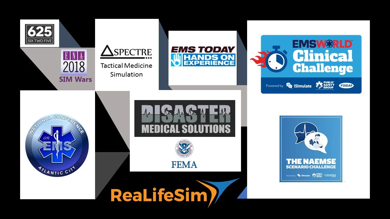 experts choose ReaLifeSim.jpg