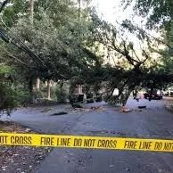 powerlinesdownafterstorm.jpg