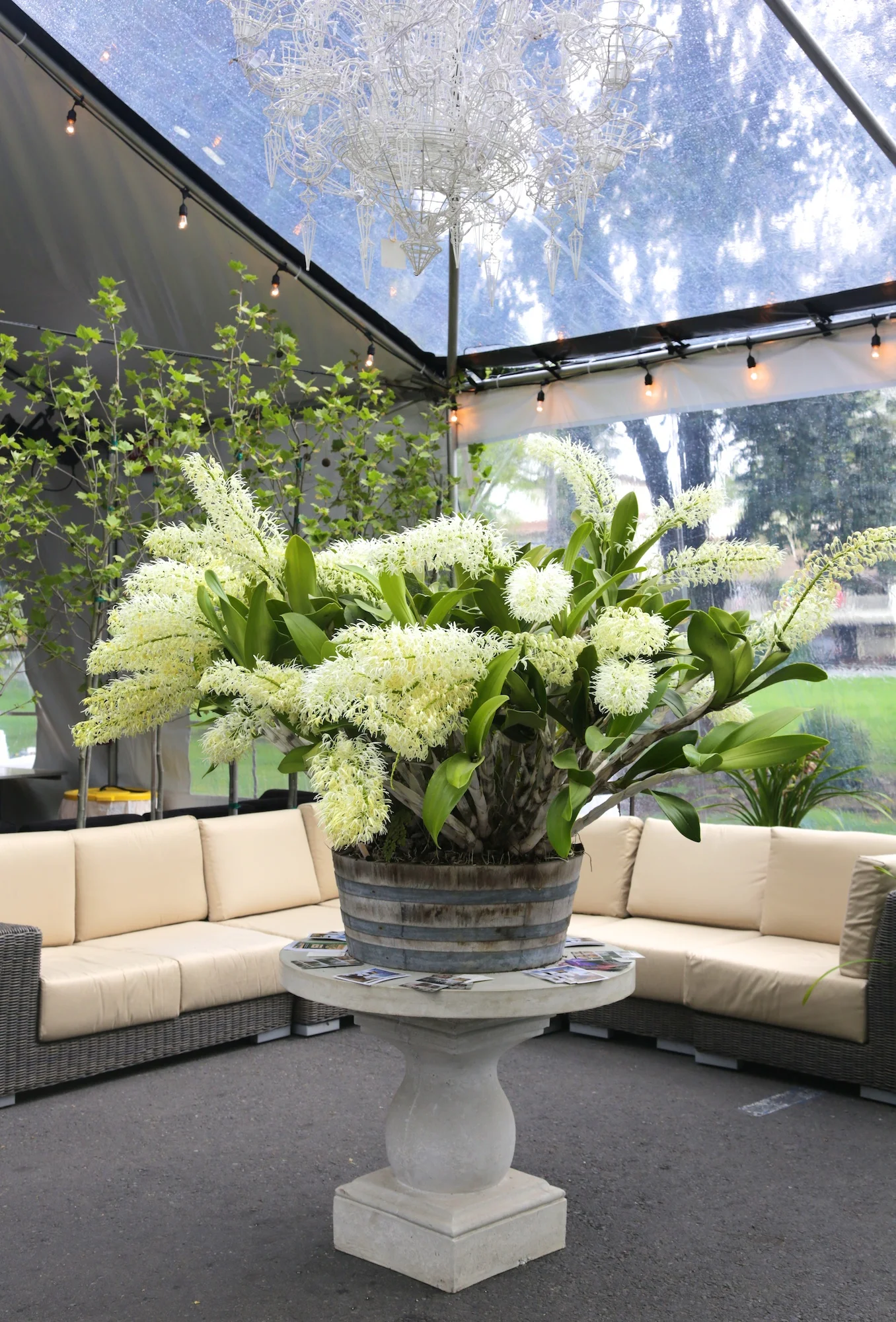 ArtefactDecor-SVFilmFest-websize 002.jpg