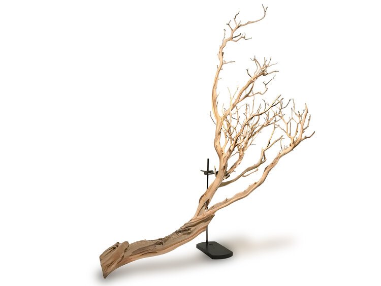 Dried Branch and Table Mount - Artefact Salvage