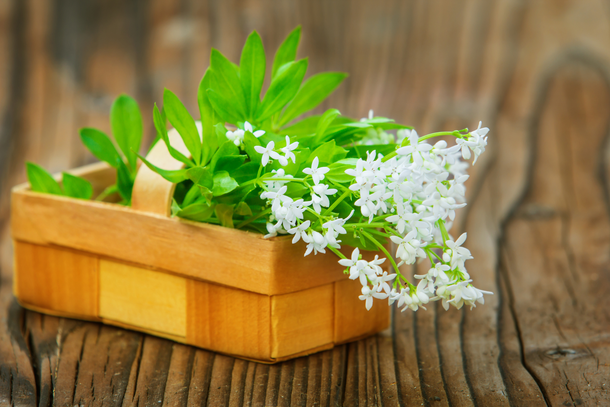 Woodruff