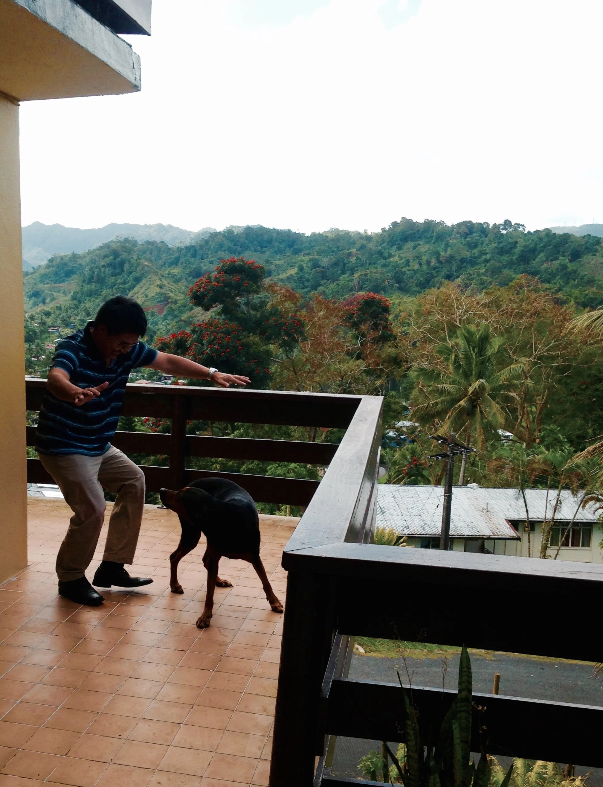  These photos were taken in Suva, Fiji in August of 2013. 