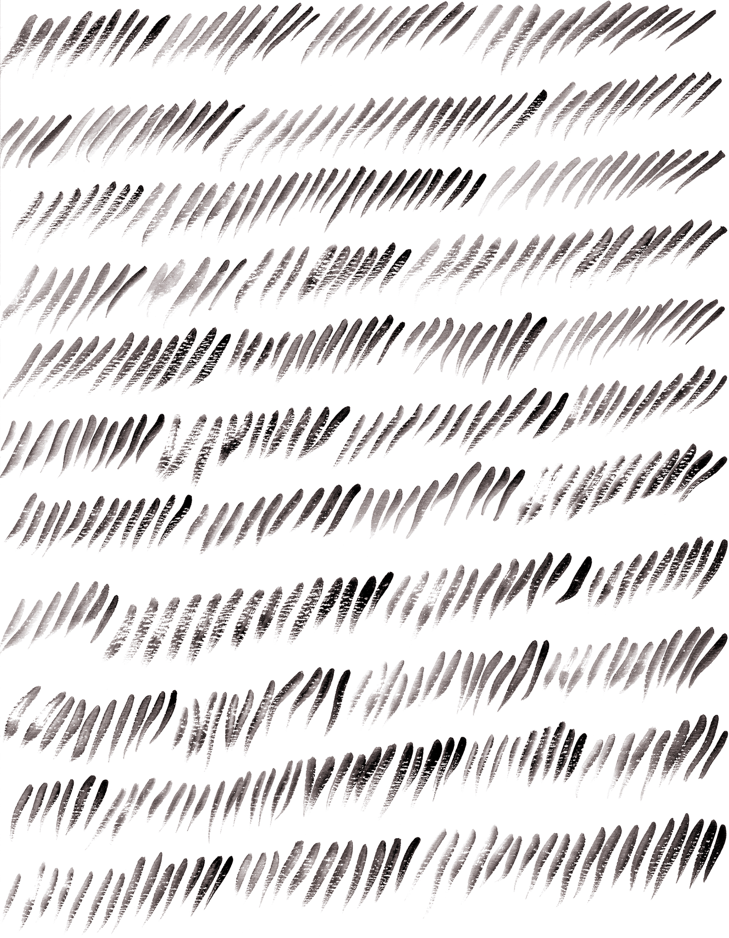 dash verticle right horizon.jpg