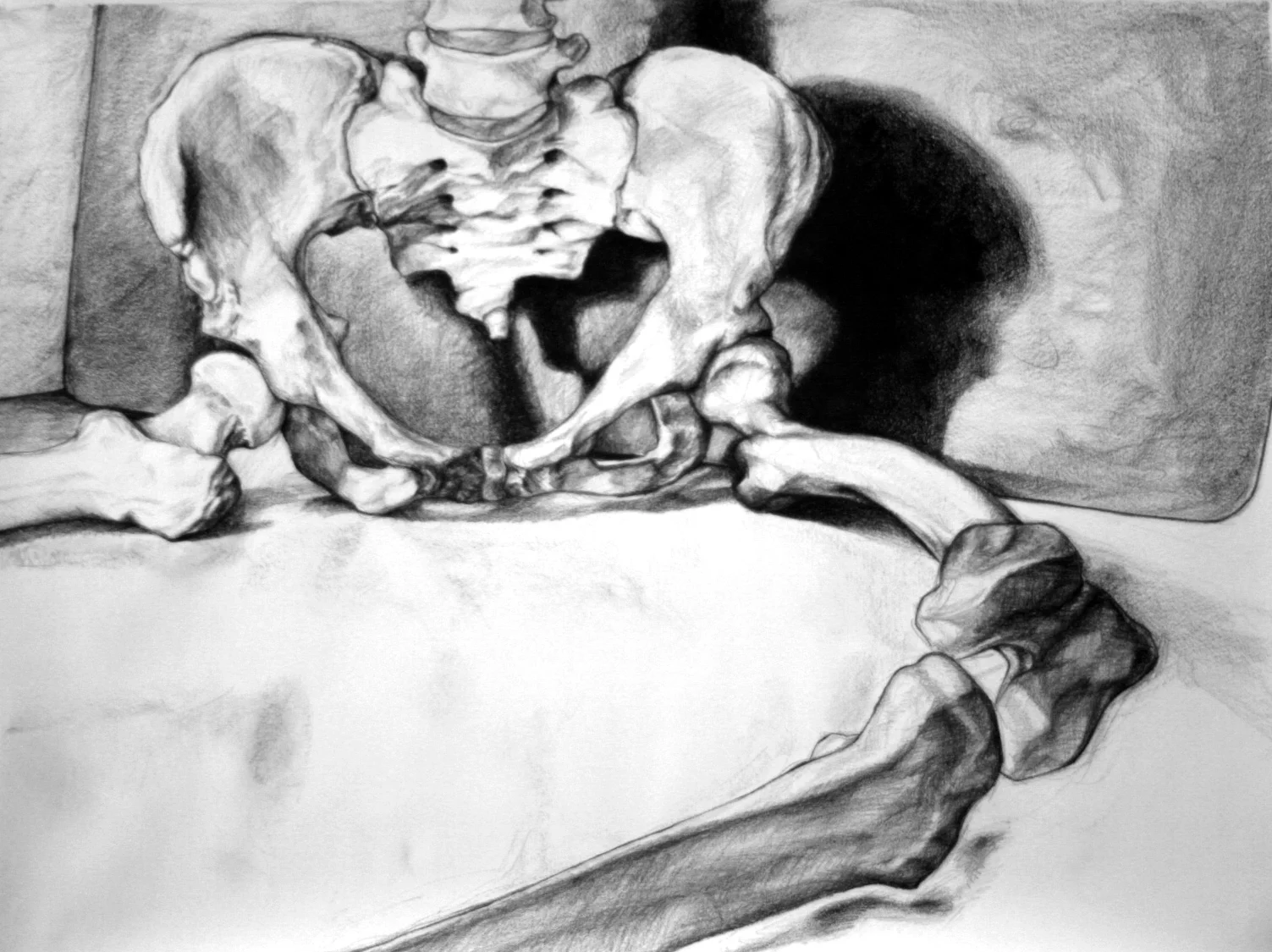 2- Skeleton.jpg
