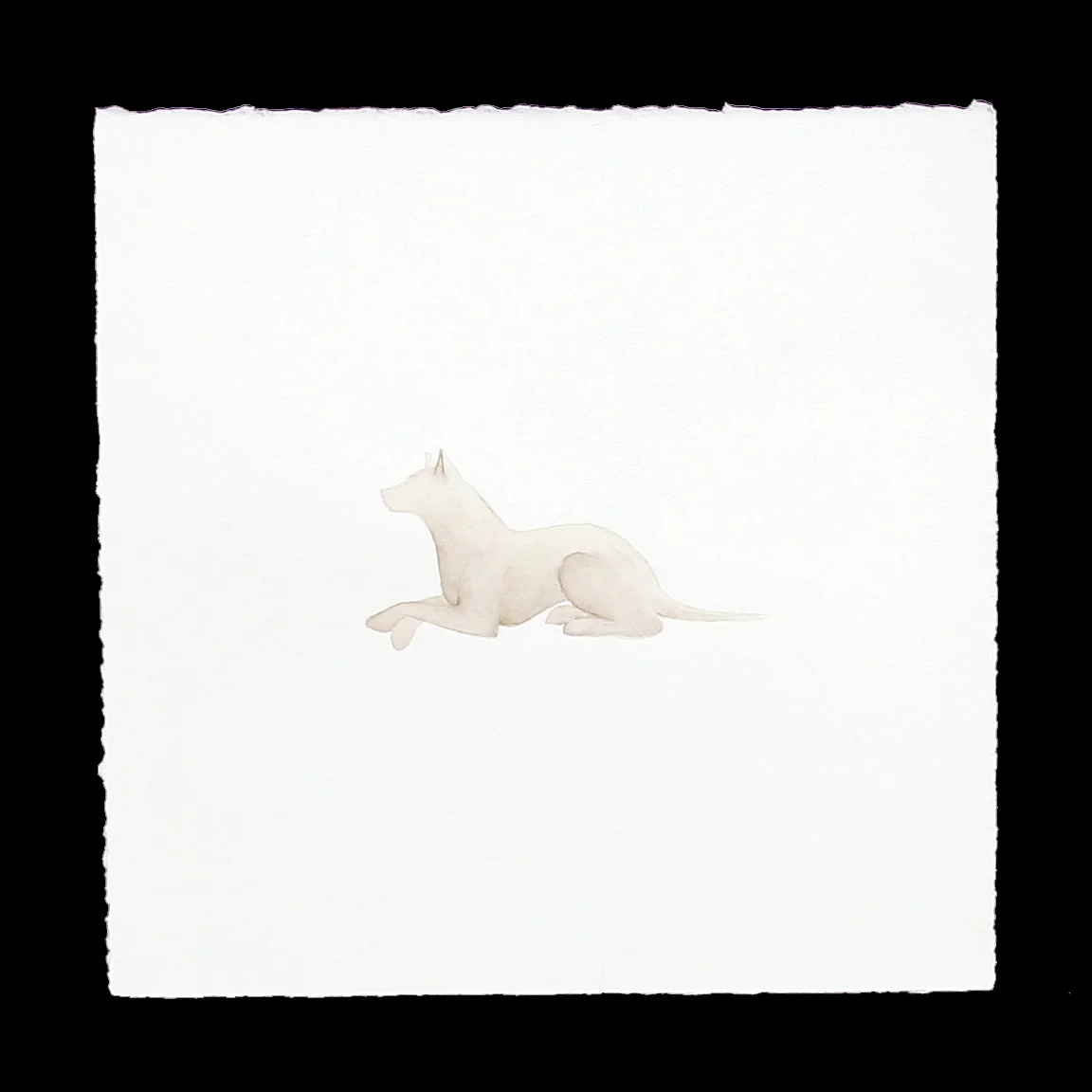 Dog watercolor 2 down.jpg
