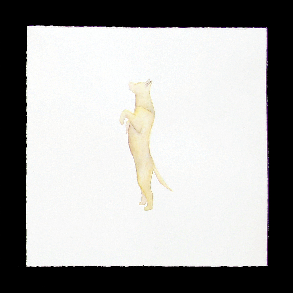 Dog watercolor 3 stand.jpg