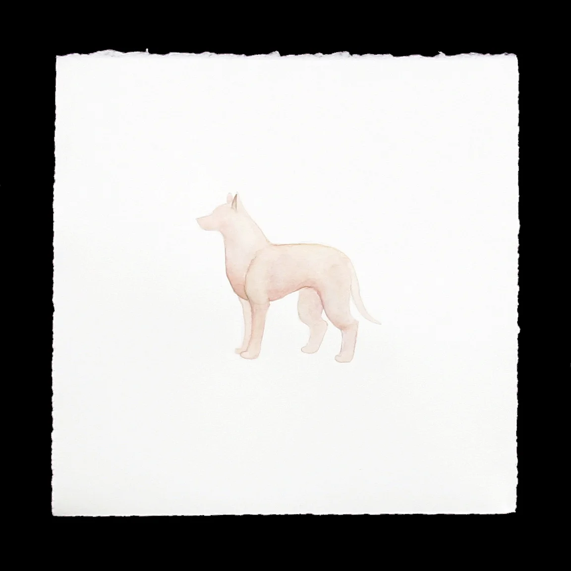 Dog watercolor 5 stand.jpg