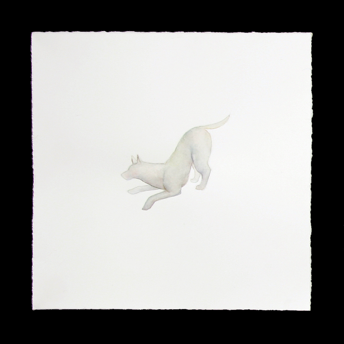 Dog watercolor 4 pounce.jpg