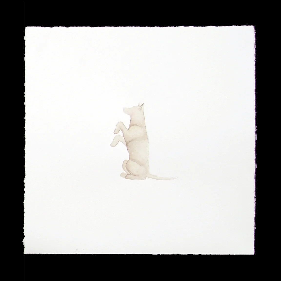 Dog watercolor 6 beg.jpg