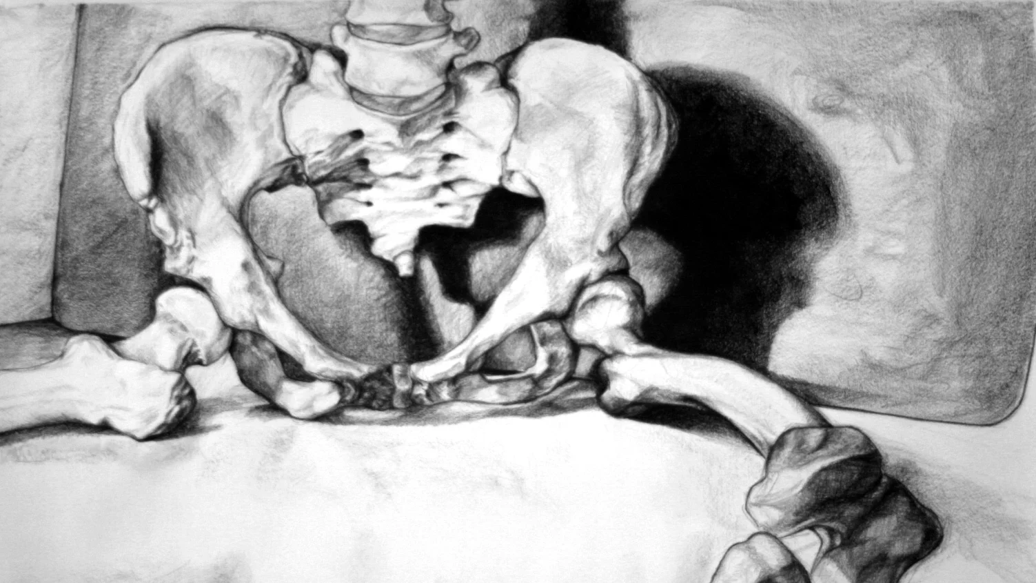 2- Skeleton.jpg