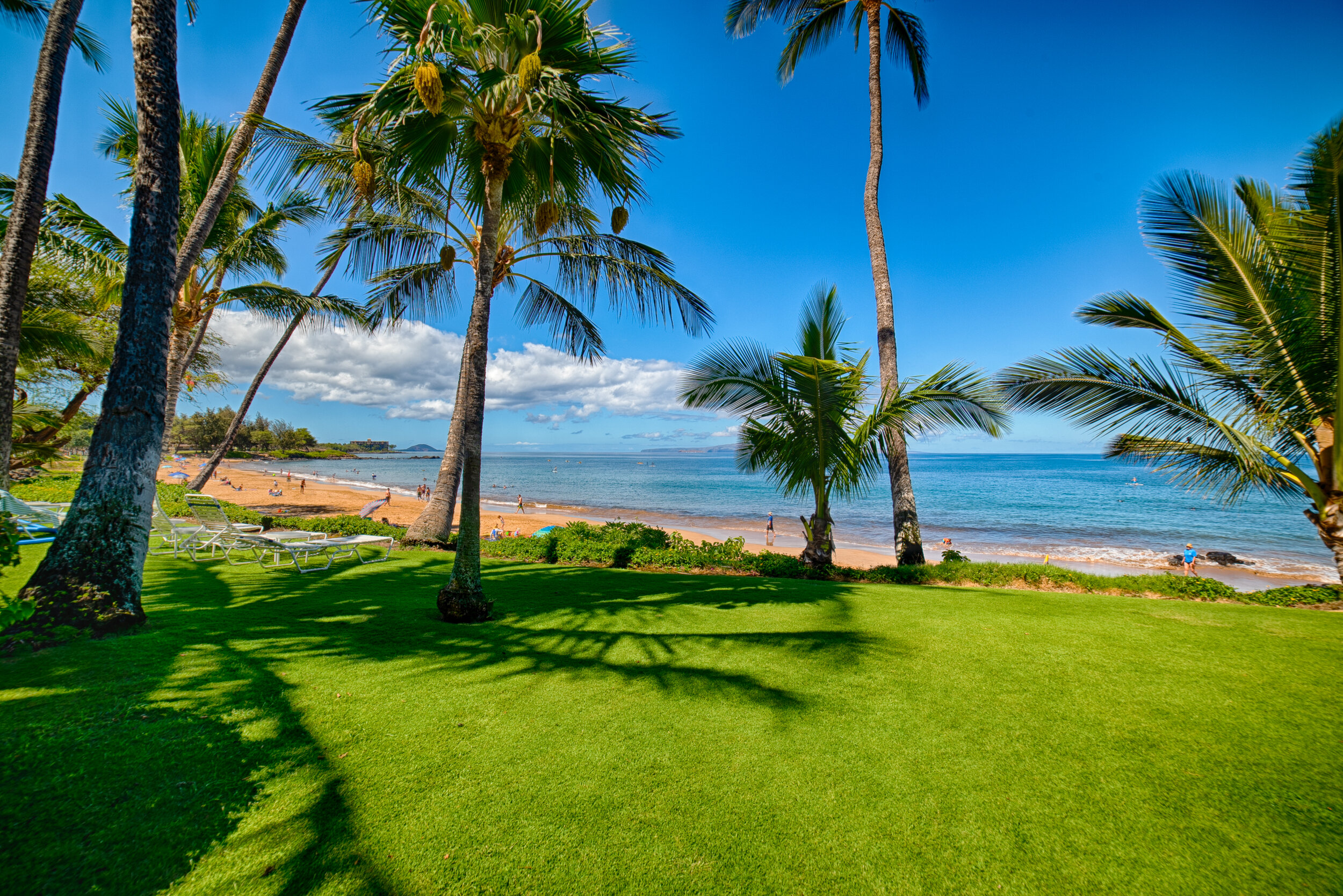 Maui - view p of beach.jpg