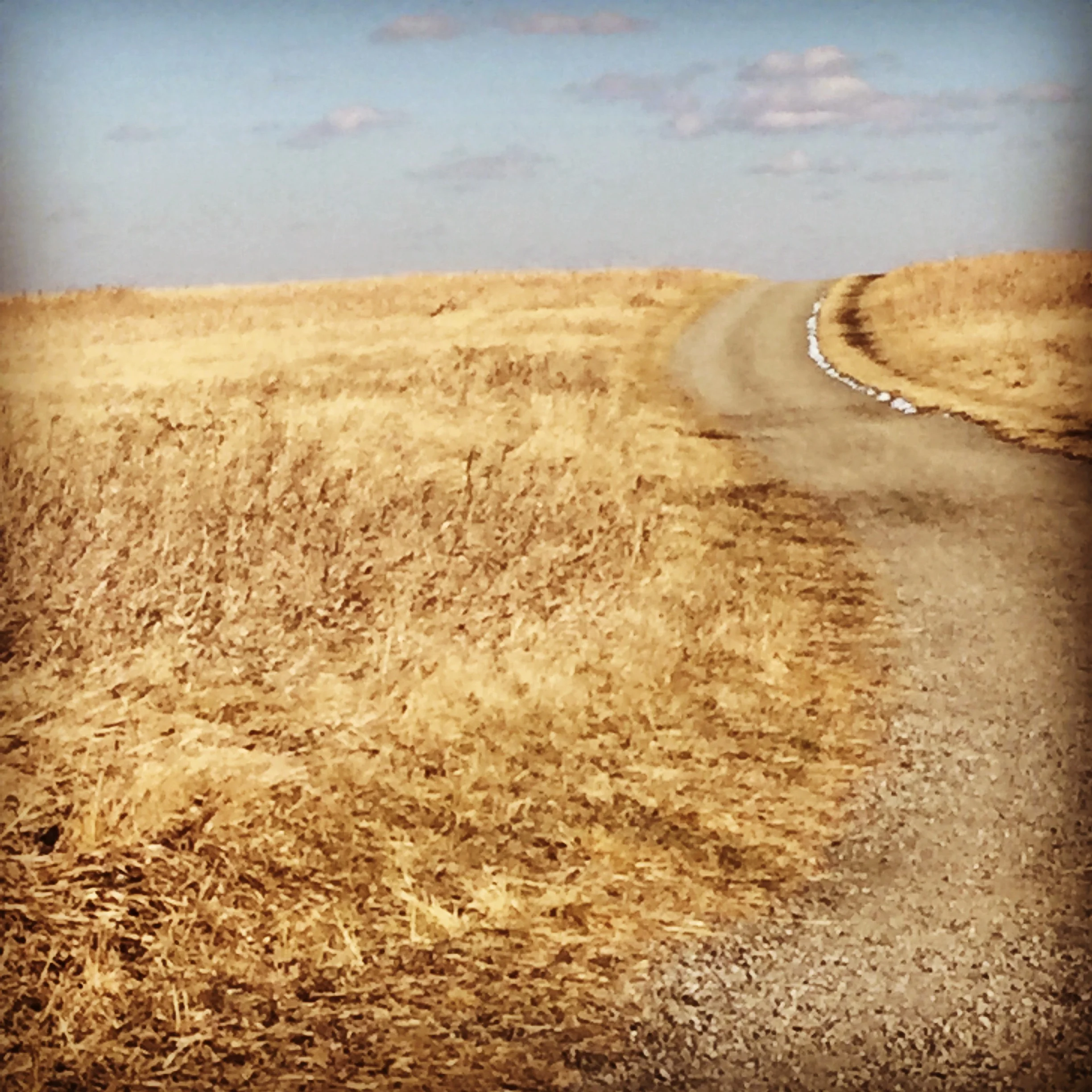 YOU ARE NOT LOST. YOU ARE SEARCHING.