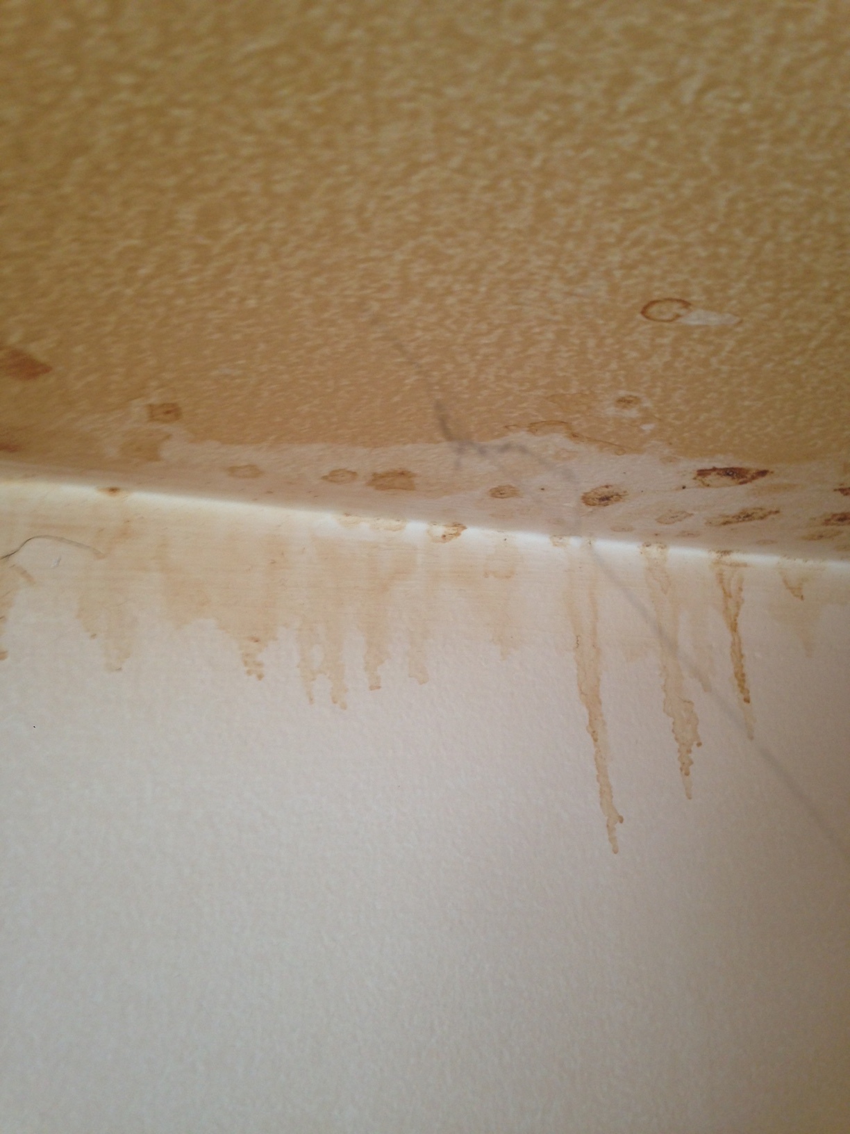 dURING: AFTER INITIAL WASH OF CEILING AND WALLS WITH CLEANING SOLUTION