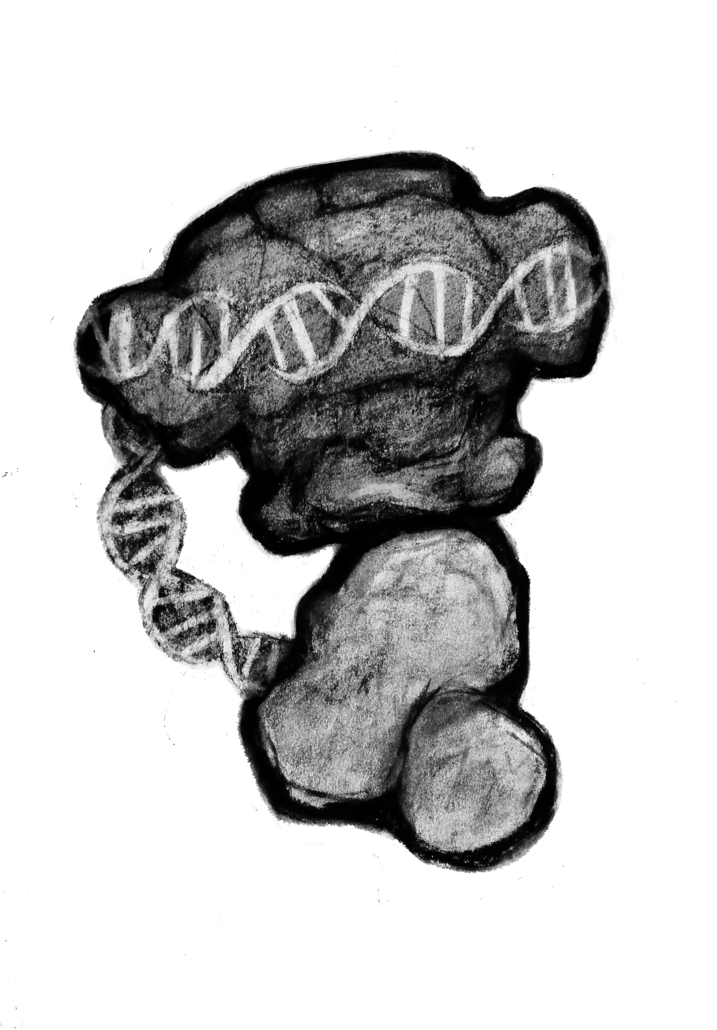 Small and large terminase