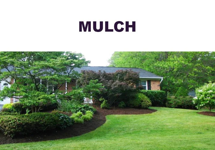 6-Edging-and-Mulching.jpg