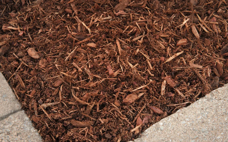 Golden-Hemlock-Wood-Mulch-A.C.-Hesse-achesse.com_.jpg