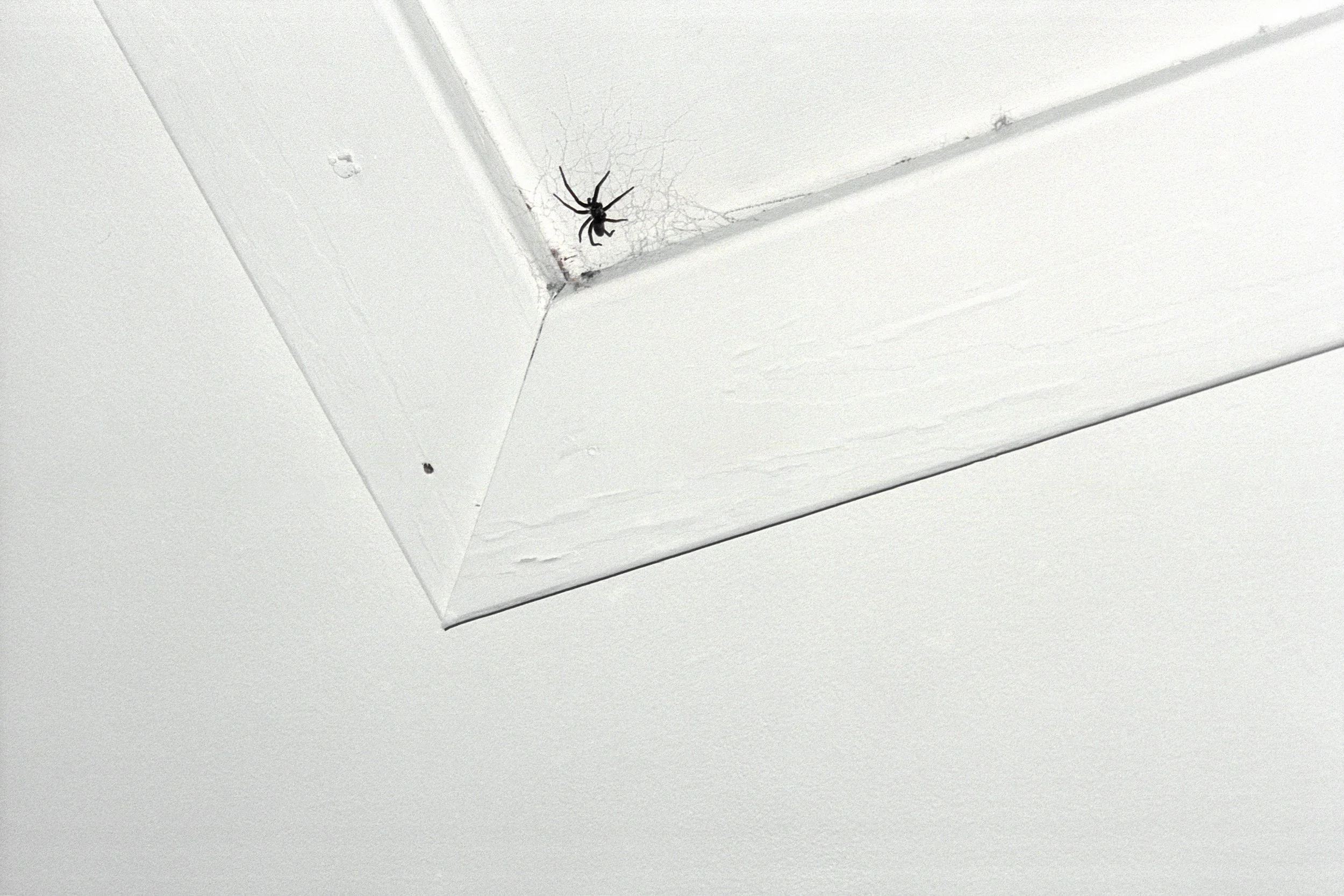 Winter Misc 2 copy.jpg