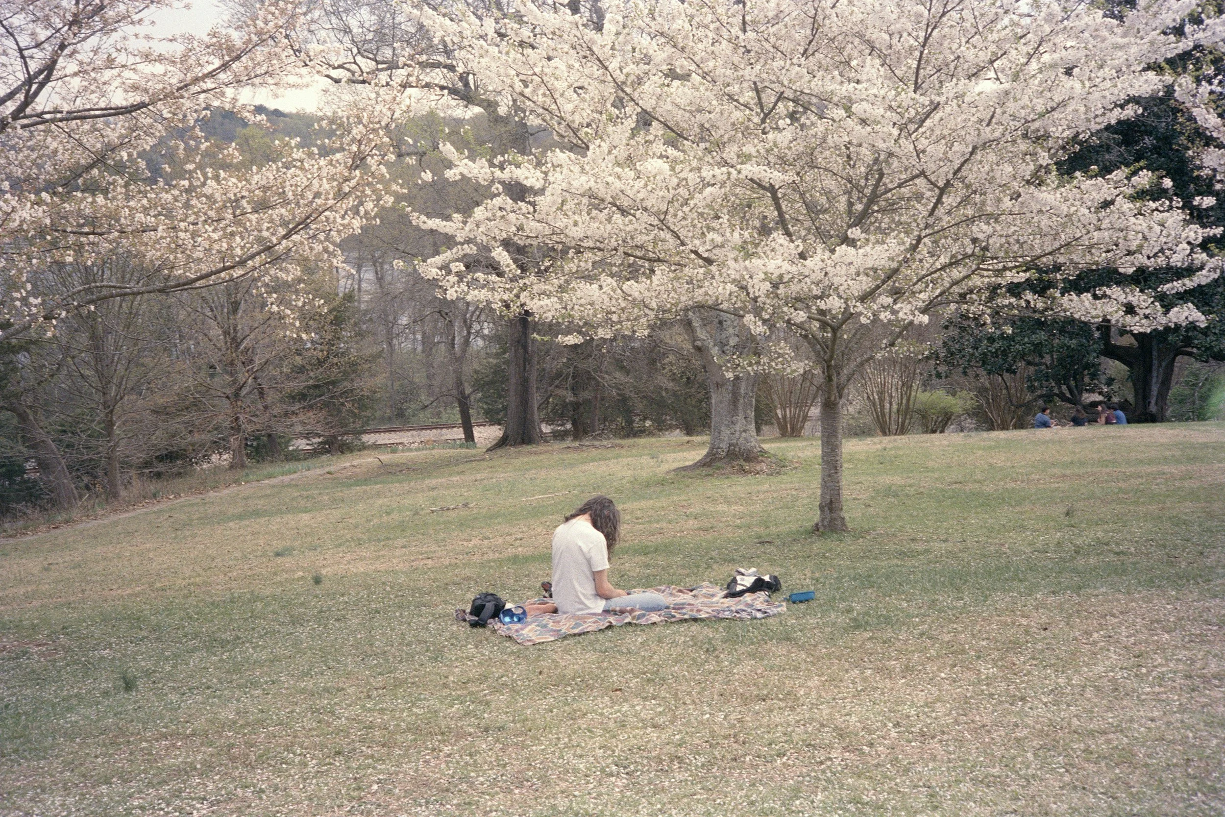 Clara90 copy.jpg