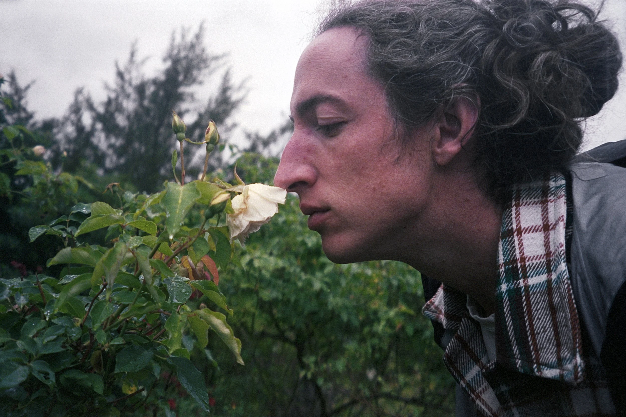 Townes  25 copy.jpg