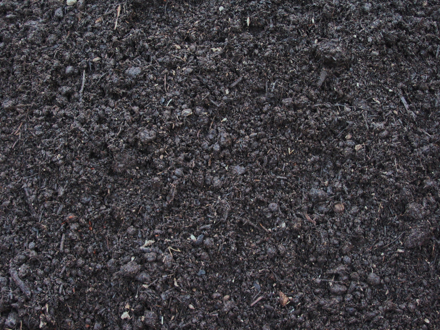 Screened Black Dirt