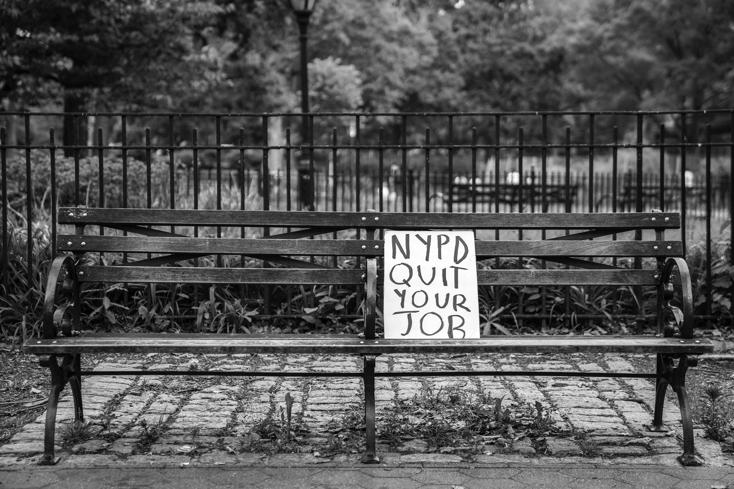 DSC04797bw.jpg