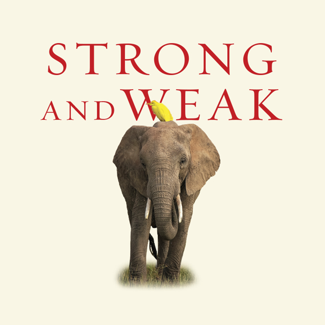 Strong and Weak Square.png