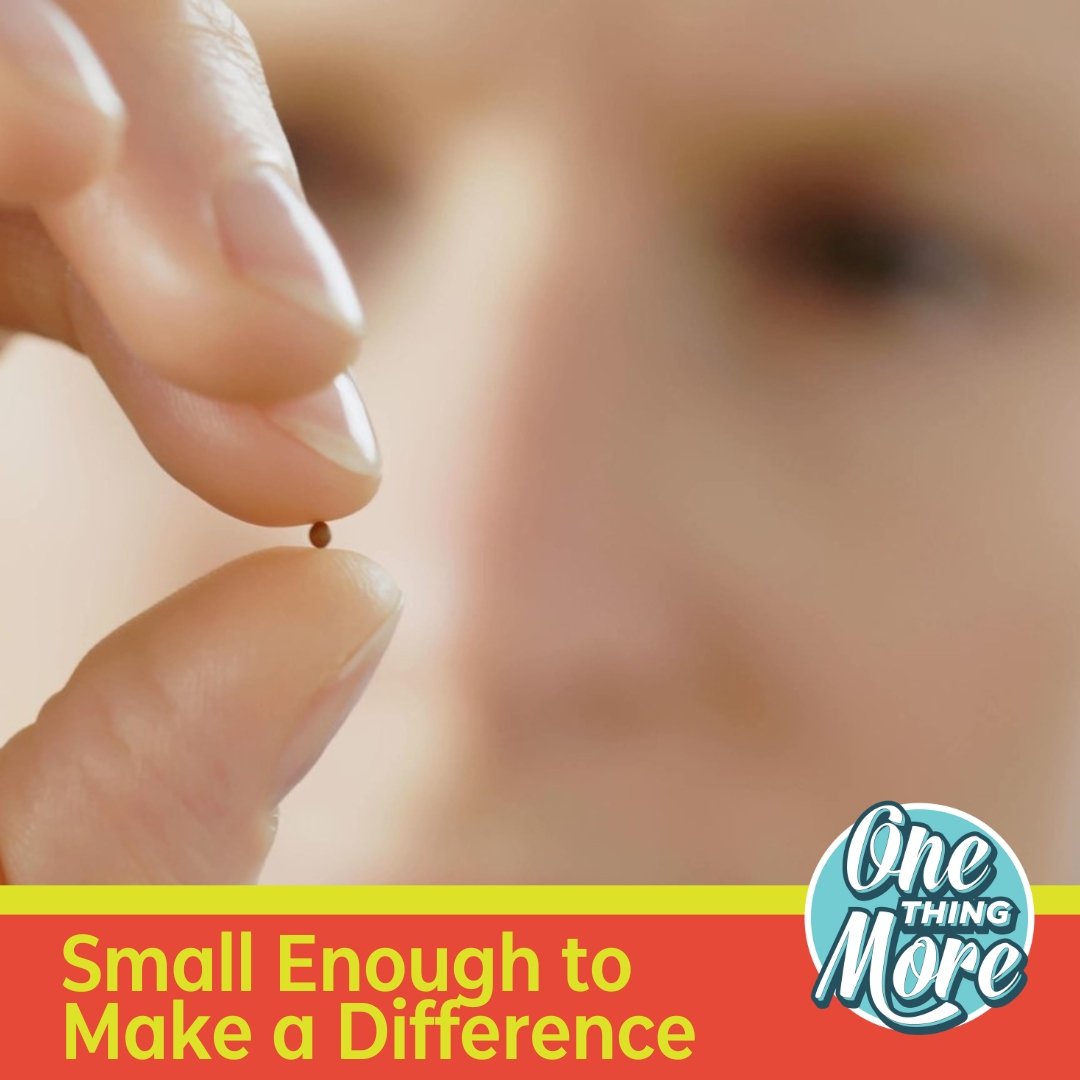 Small Enough to Make a Difference (Episode 37)