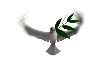 Animated dove for site.gif