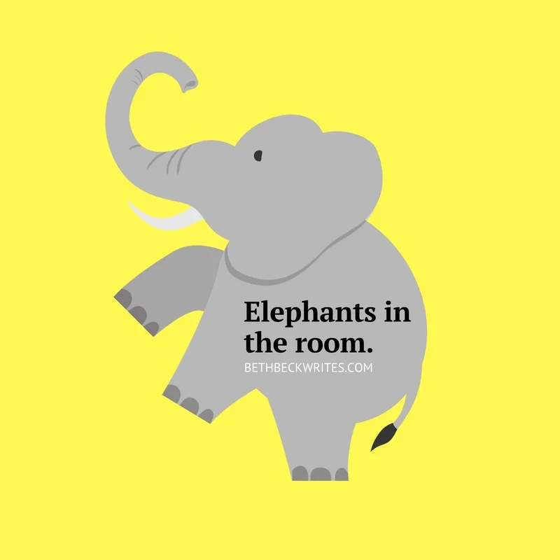 Elephants in the room.