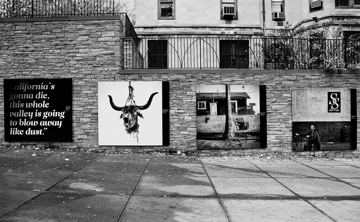 Installation on 110th street. Photo by MF Fellow Jasper Briggs.