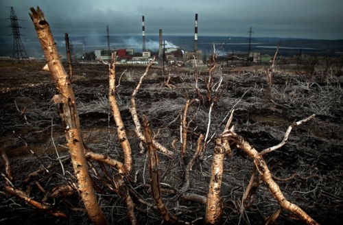 Gases emitted from the nickel mining combine in this Russian Arctic town kills almost everything within sight. The combine, built in 1937 during Stalin’s reign, emits five times more sulphur dioxide—the cause of acid rain—than the whole of Norway ac…
