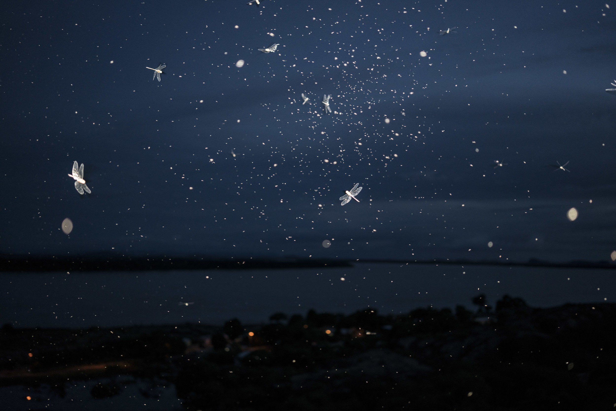  Juanita Escobar,  Orinoco Women’s Journal , Colombia. View of the Orinoco river from Flag Hill at Puerto Carreño, the departmental capital of Vichada in Colombia. On the other side of the river is Amazonas State, Venezuela. 