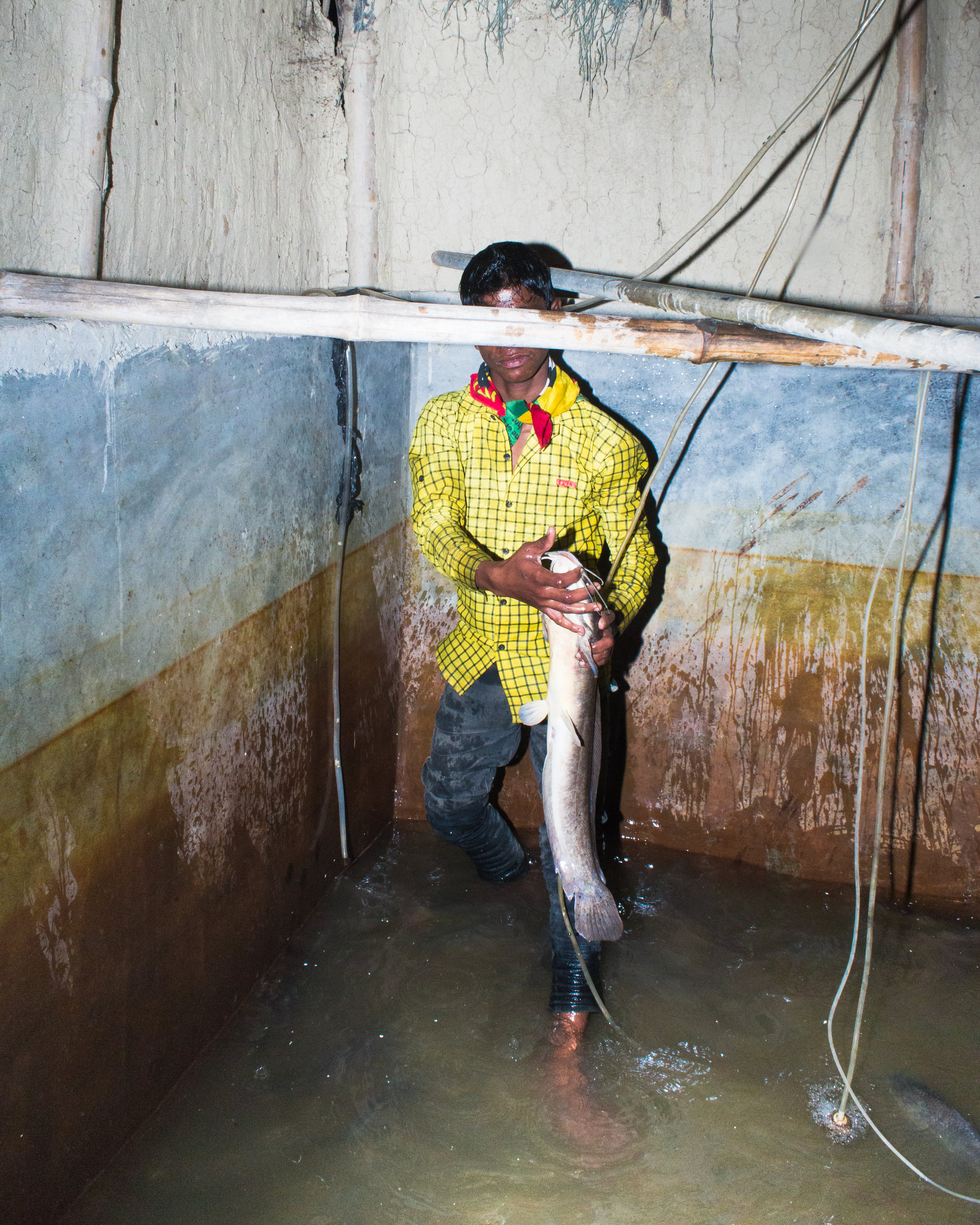Sagar Chhetri, Eclipse, Birgunj, Parsa, Nepal, 2016. Bambaiya wanted me to buy his fish.