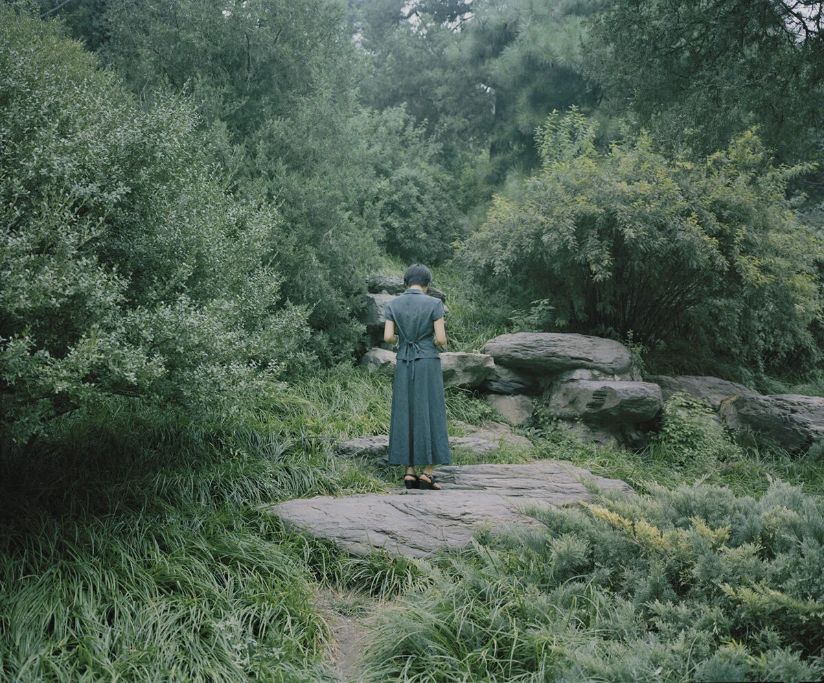 Zhe Chen (China, 2011), IM Award recipient for Bees