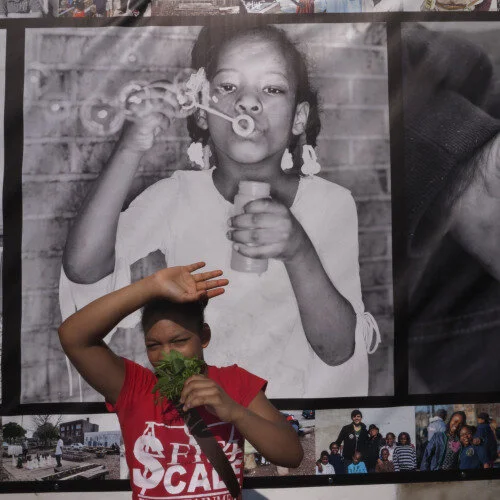 See Potential - Image 2.jpg