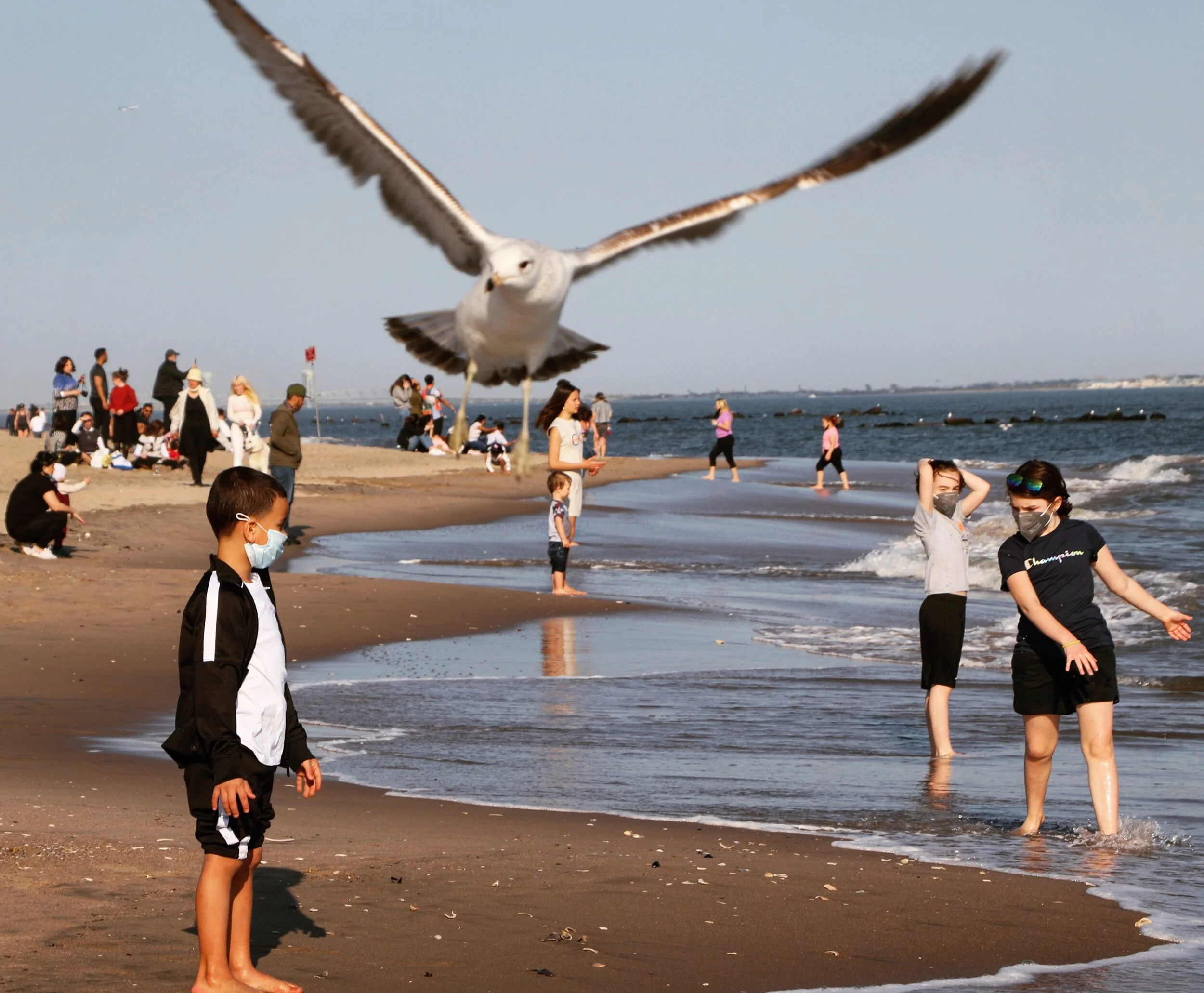 Call for Applications: Spring 2021 Magnum Foundation Fellowship