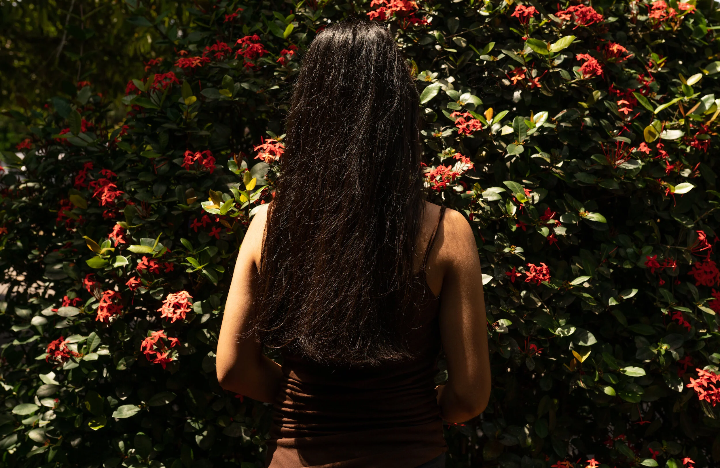 Andrés Cardona:  Navigating Loss through Images