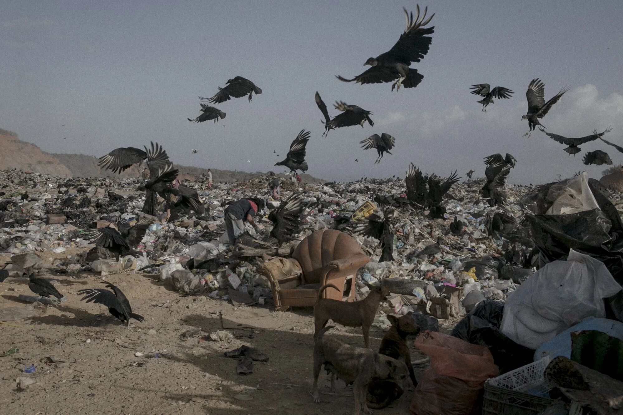 Announcing the 2021 Inge Morath Award