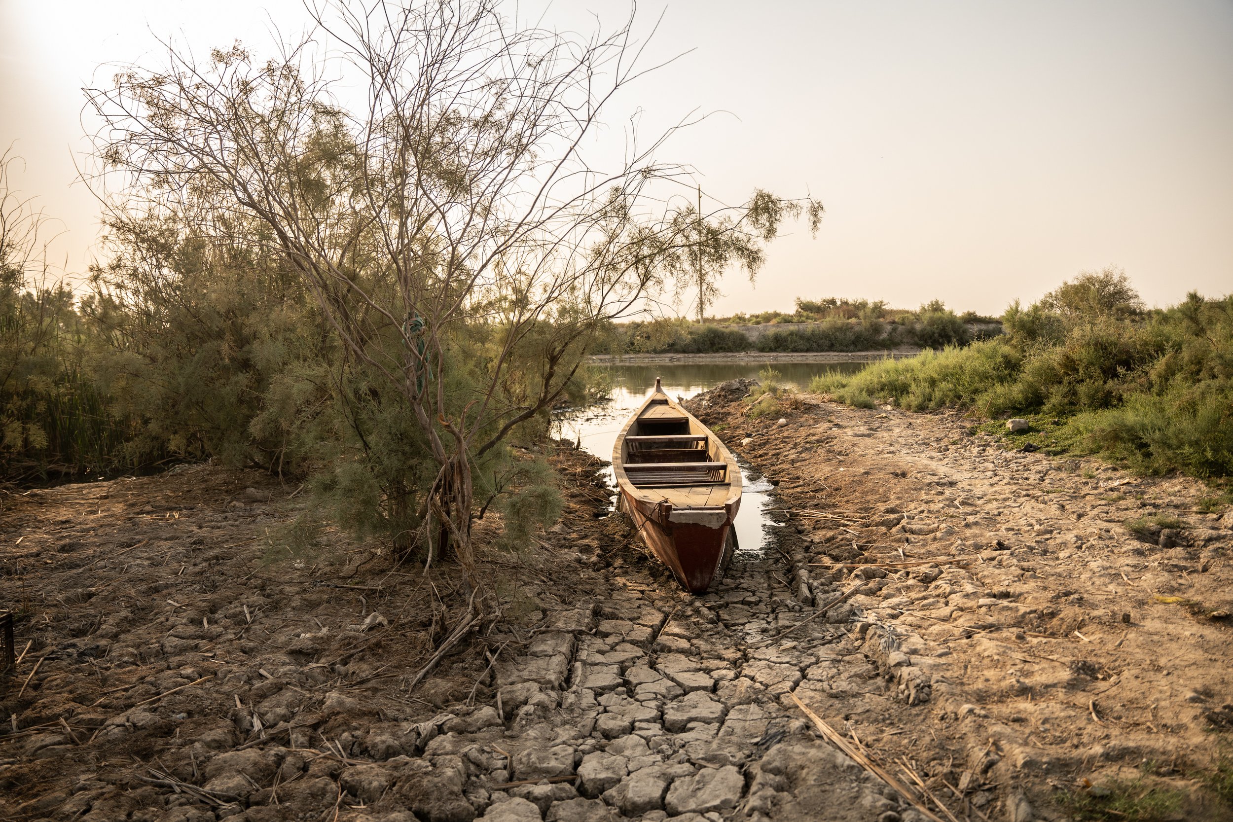 Announcing the 2022 Arab Documentary Photography Program Grantees