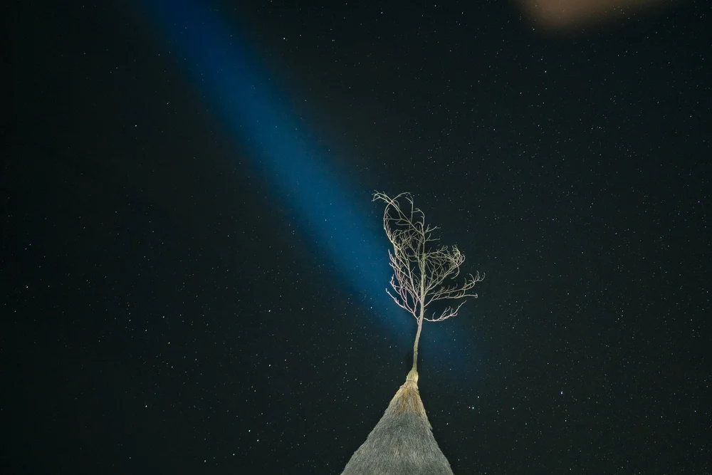  A light shines upon the tip of the communal home “churuata” in the Amazonas state, Venezuela. In the Huöttöja worldview, this branch functions as an antenna that connects the earth with the spiritual realm. The “churuata” is the place where shaman J